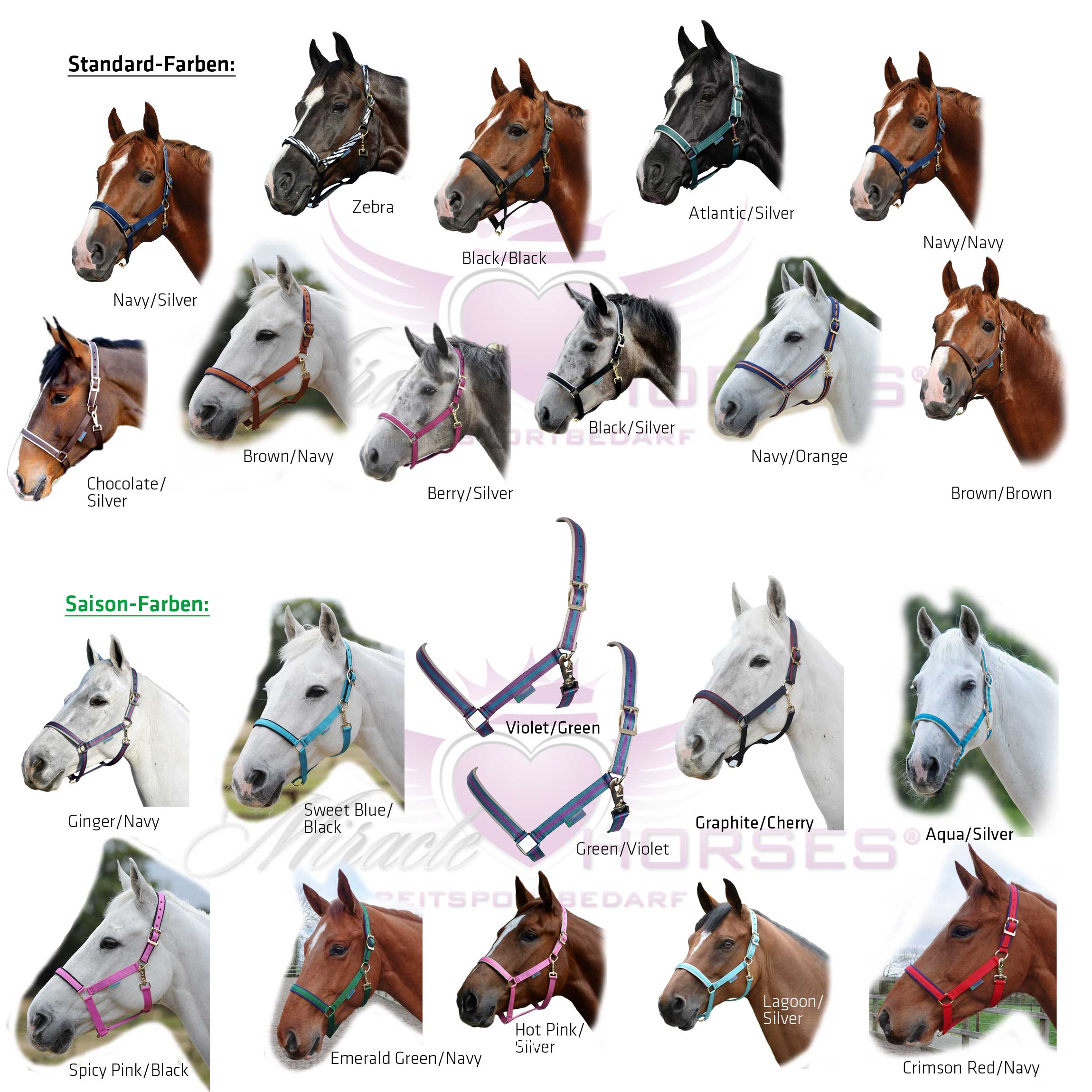 Miracle Horses Reitsportbedarf: Online-Shop rund um Pferdebedarf,  Reitbekleidung, Stallzubehör, Hundeartikel - Bucas Dublin Halfter,  gepolstert & extrem leicht